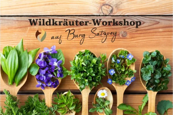 Wildkräuter-Workshop auf der Burg Satzvey