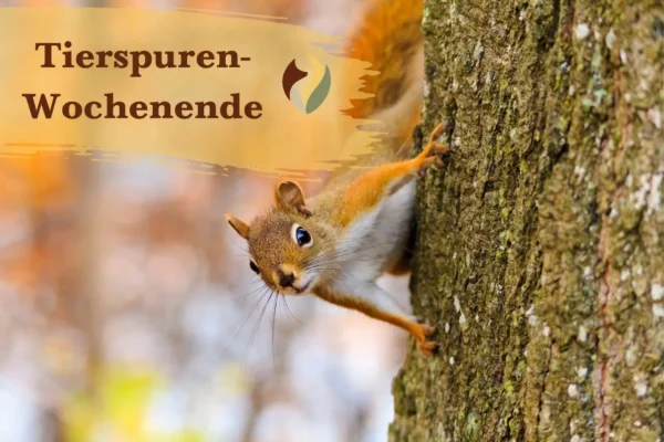 Tierspuren-Wochenende